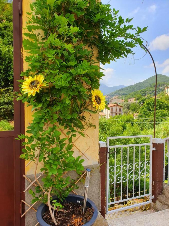 Il Girasole ...At Andorus' House Bed and Breakfast Erli Exteriör bild